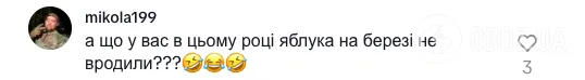 ''Скільки яблук росло на березі?'' Мережу спантеличила задача в підручнику для 2 класу: правильну відповідь знали навіть не всі батьки