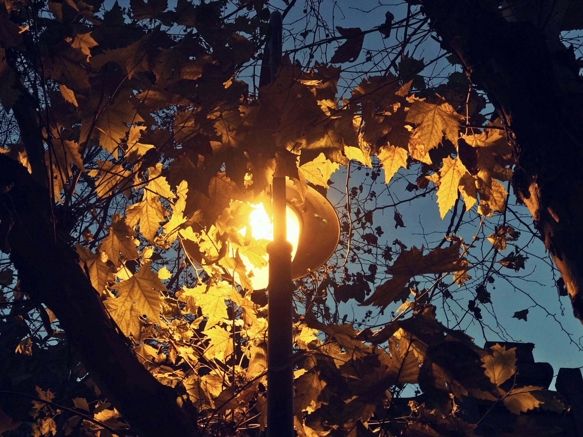 День осеннего равноденствия: точное время, когда наступит, и что нельзя делать