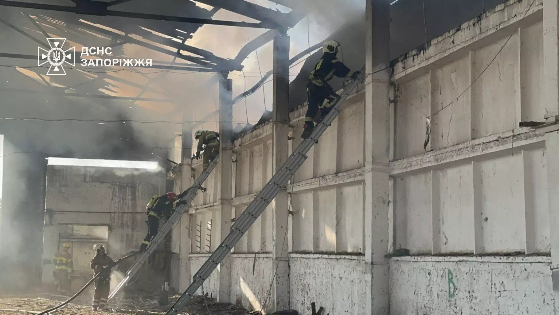 На Запоріжжі спалахнула масштабна пожежа на території кінного клубу. Фото