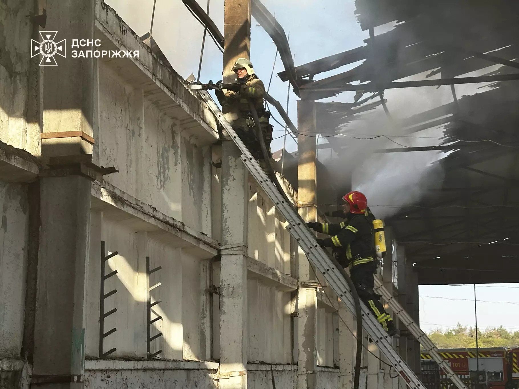 На Запоріжжі спалахнула масштабна пожежа на території кінного клубу. Фото