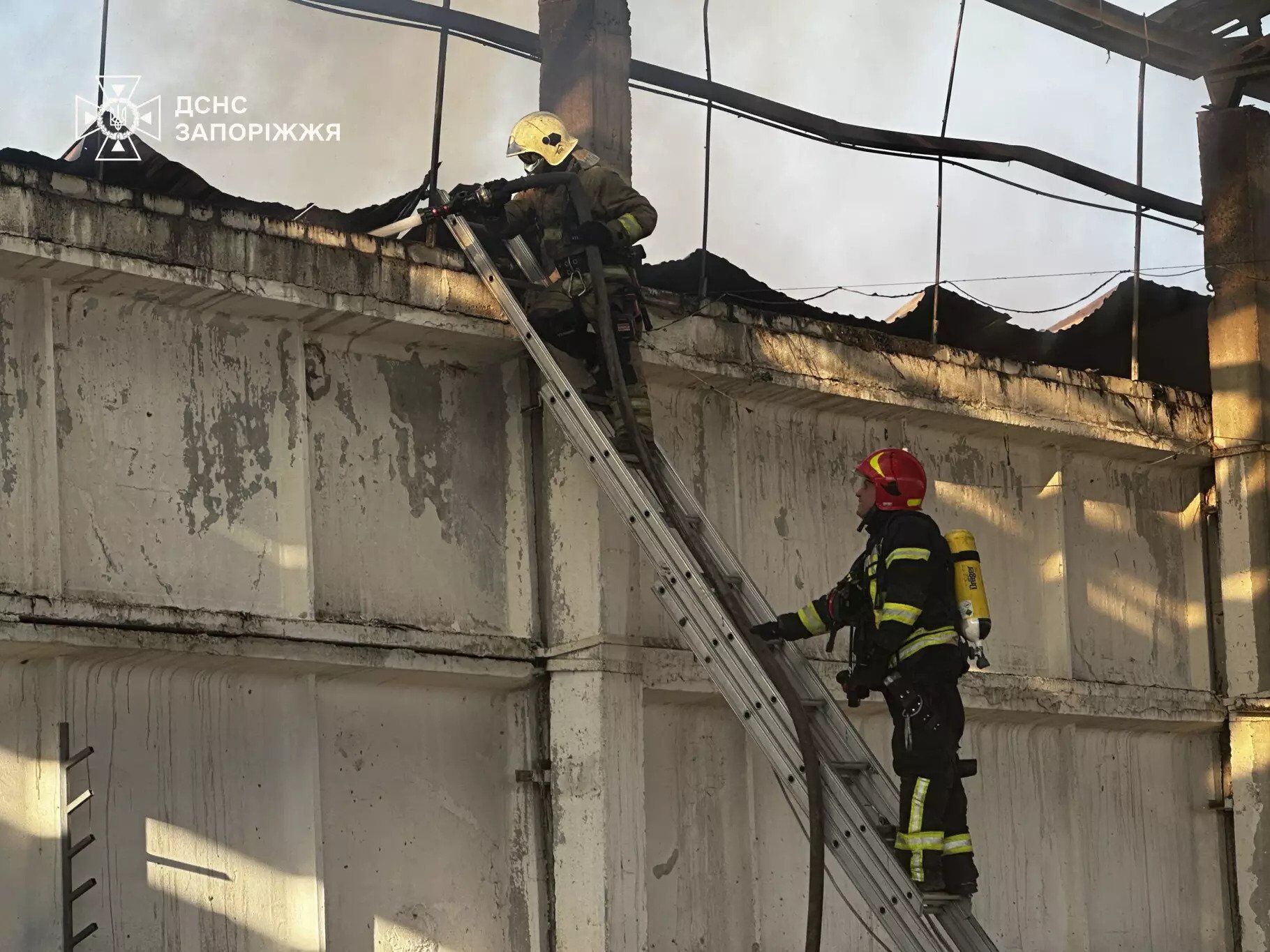 На Запоріжжі спалахнула масштабна пожежа на території кінного клубу. Фото