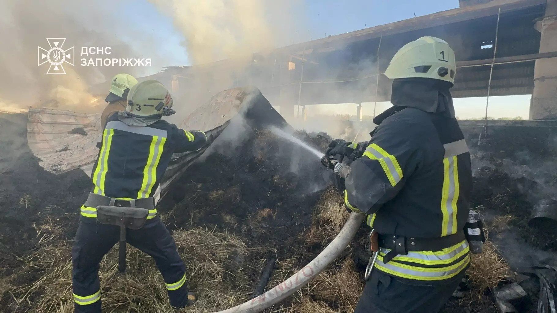 На Запоріжжі спалахнула масштабна пожежа на території кінного клубу. Фото