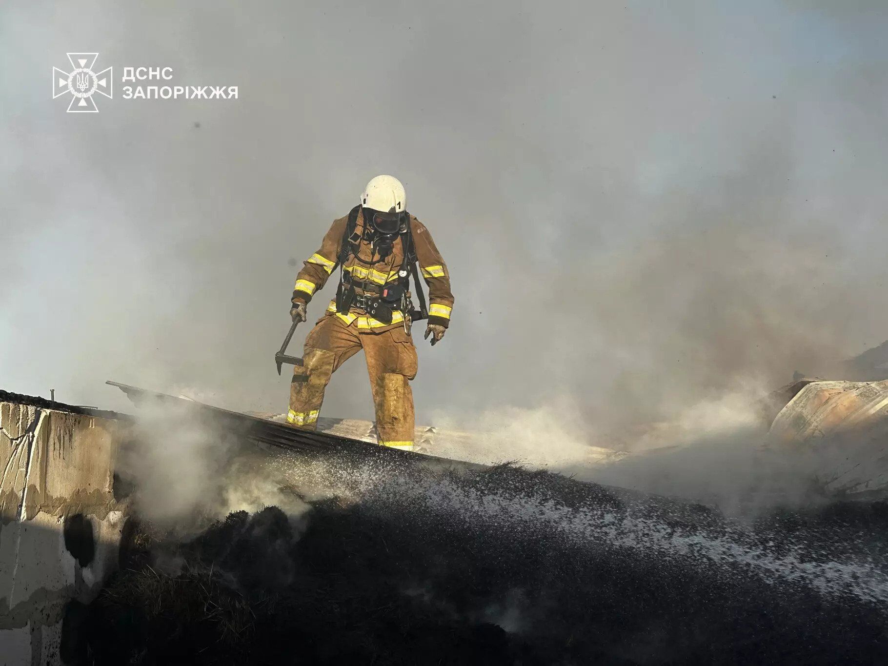 На Запоріжжі спалахнула масштабна пожежа на території кінного клубу. Фото