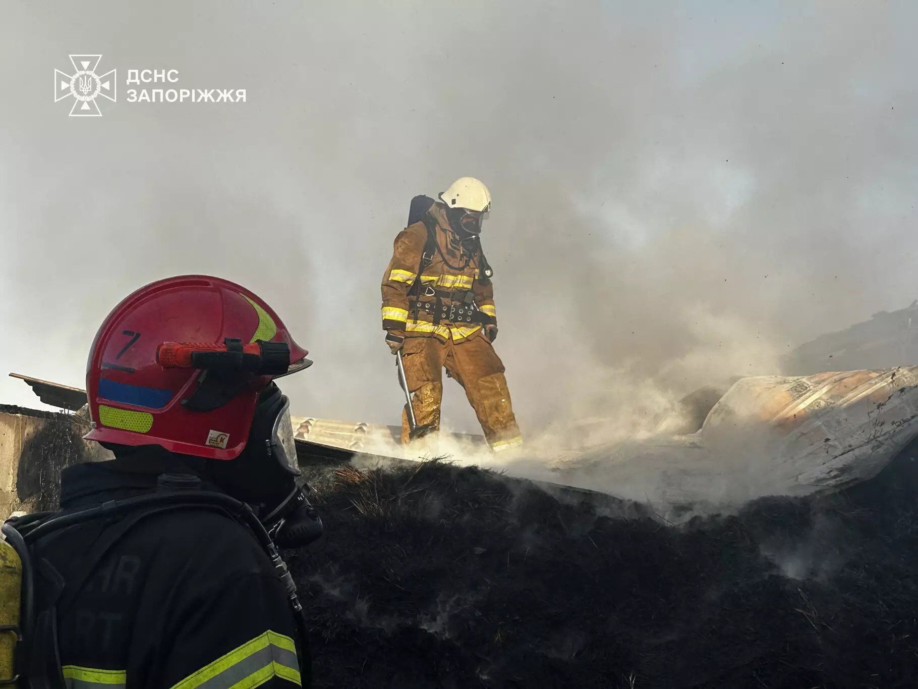 На Запоріжжі спалахнула масштабна пожежа на території кінного клубу. Фото