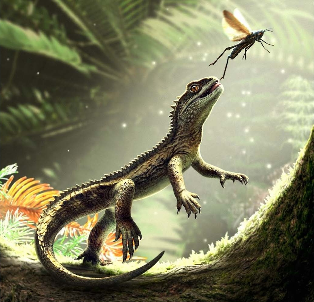 Жило еще до динозавров: ученые обнаружили сенсационное существо