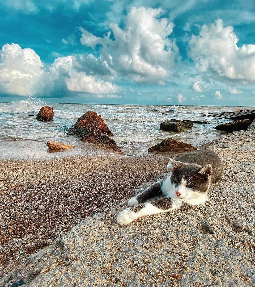 Відпочинок на морі в Одесі