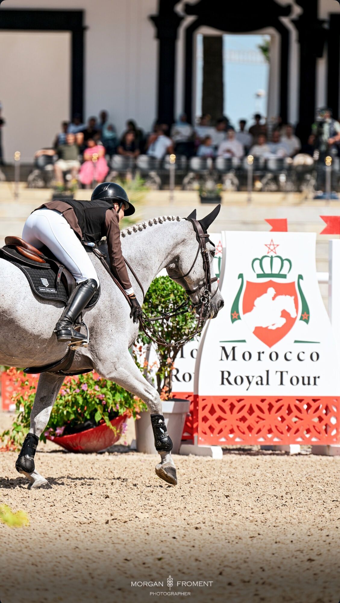 Українська вершниця увійшла до трійки найсильніших на змаганнях в Марокко