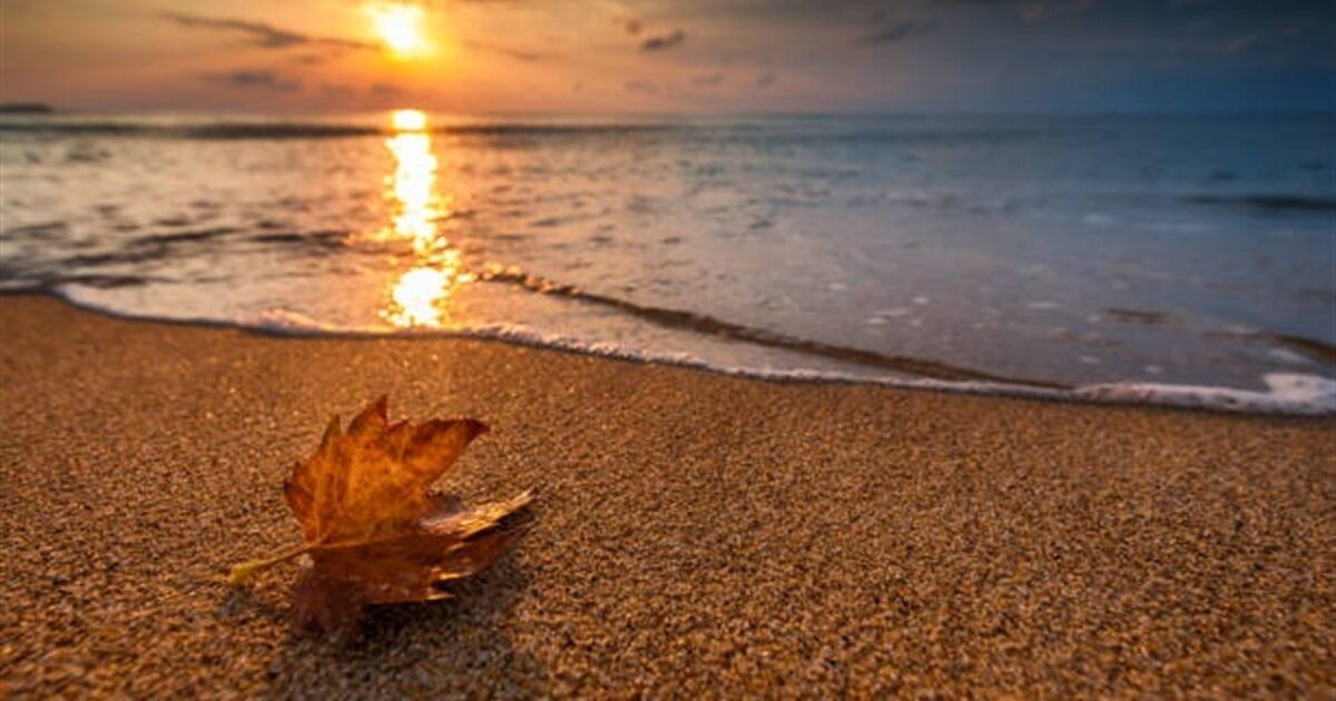 Відпочинок в Одесі