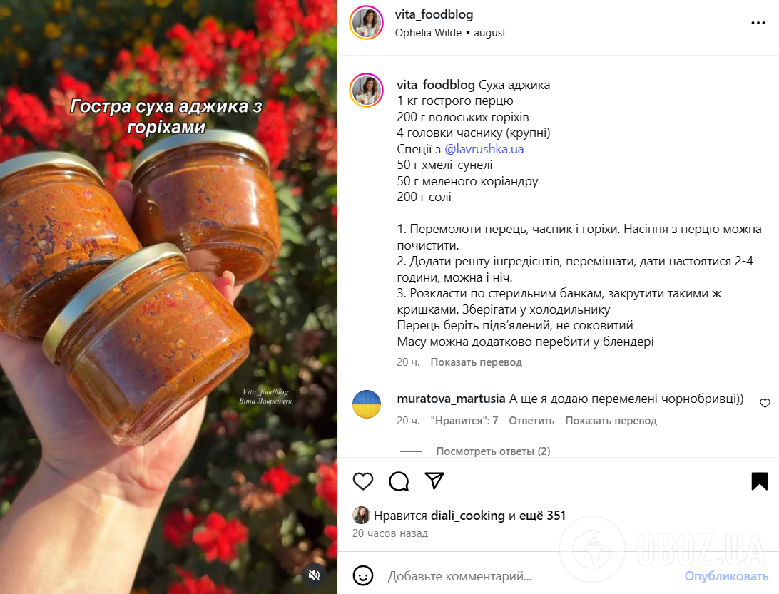 Домашня суха аджика на зиму: готується елементарно