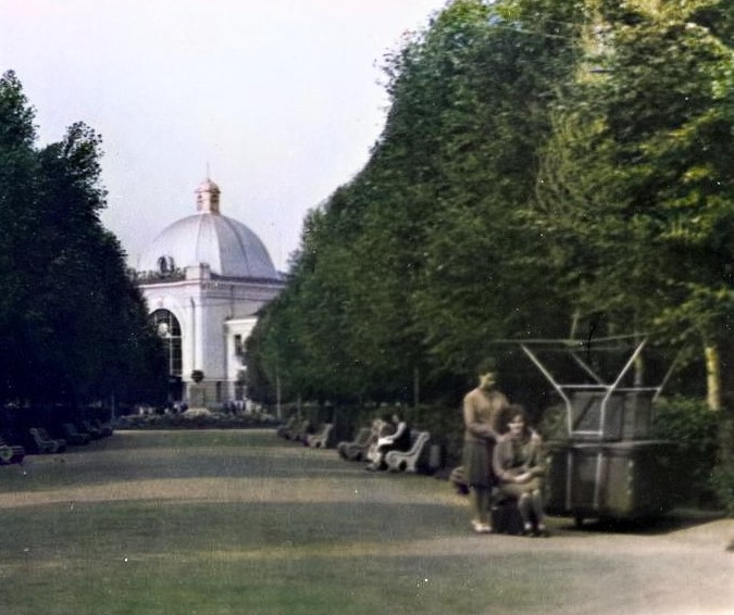 В сети показали Ивано-Франковск более 70 лет назад: архивные кадры