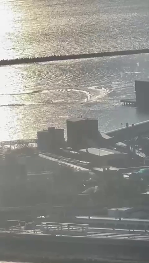 Морские дроны атаковали российский порт Туапсе: что известно. Фото и видео