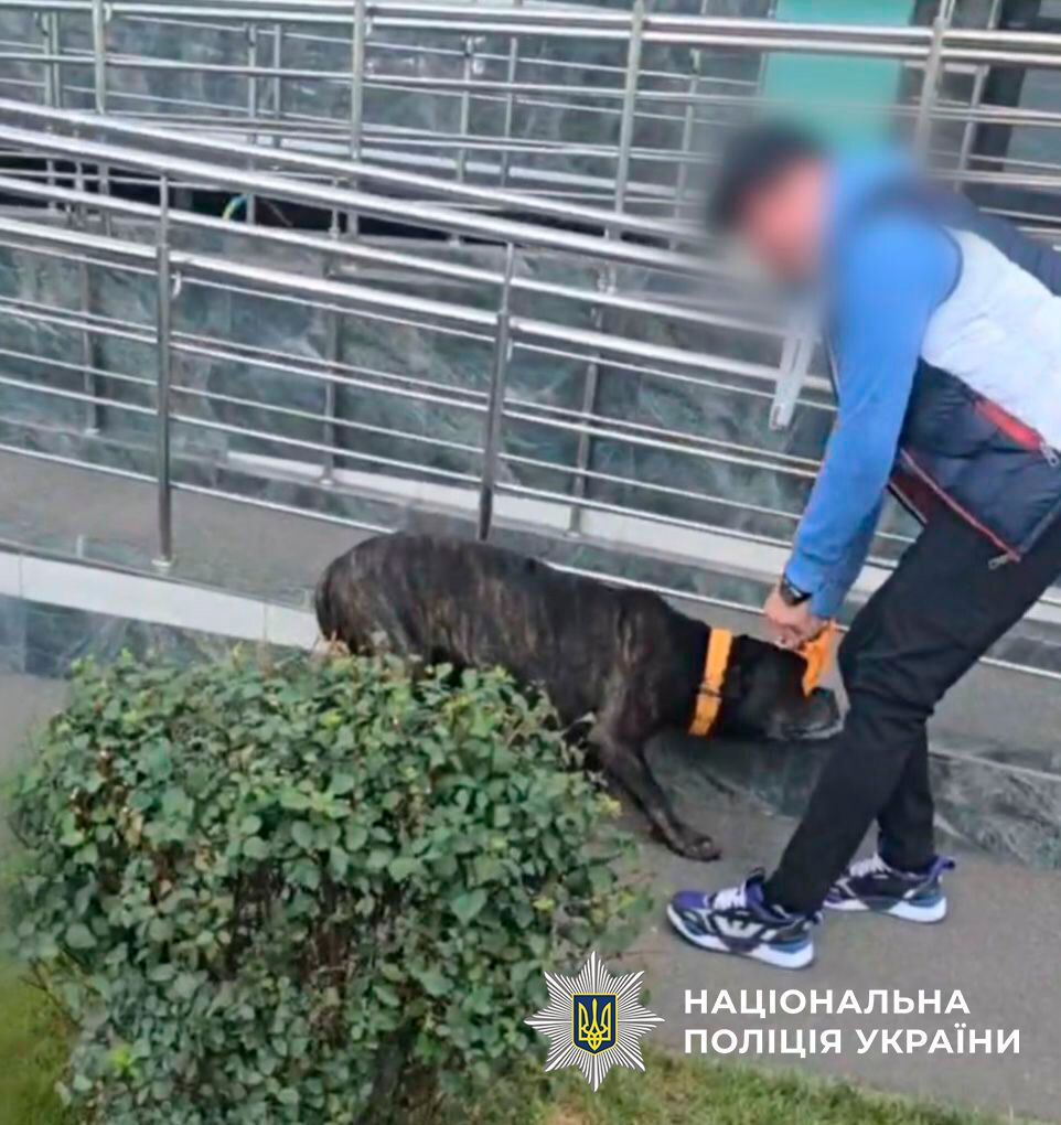 У Києві чоловік посеред вулиці побив собаку "у виховних цілях": на інцидент відреагувала поліція. Фото