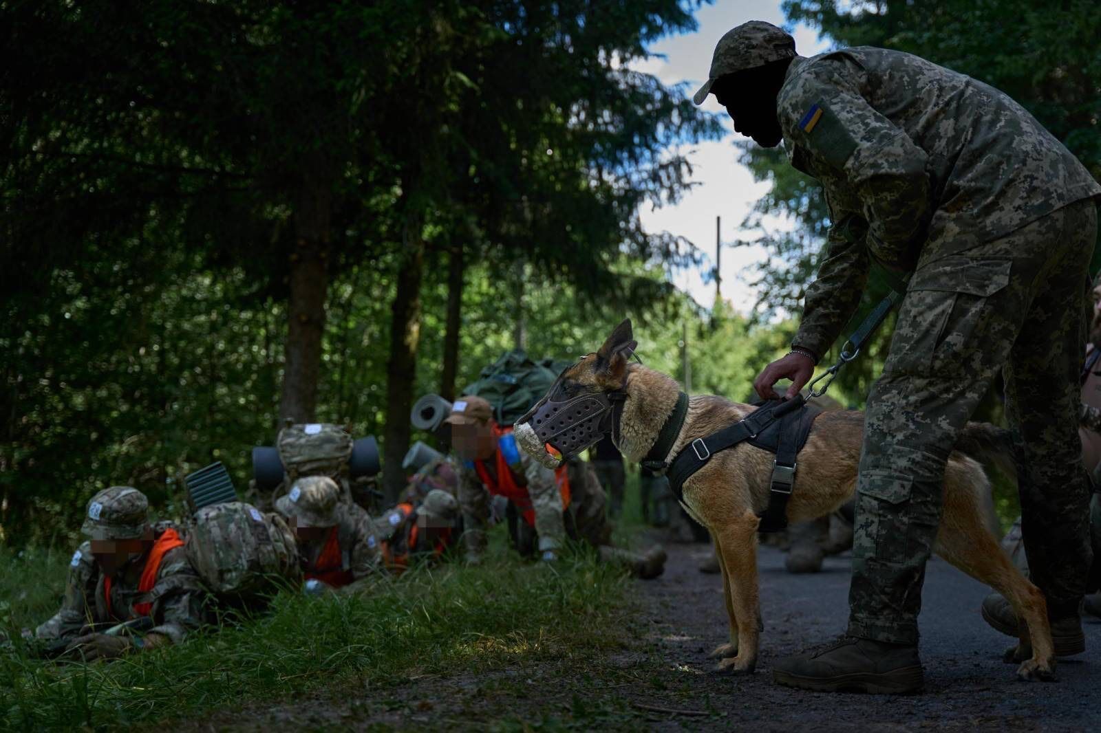 Силы спецопераций взяли под контроль лесополосу в Донецкой области: детали успешного налета на позиции врага. Видео
