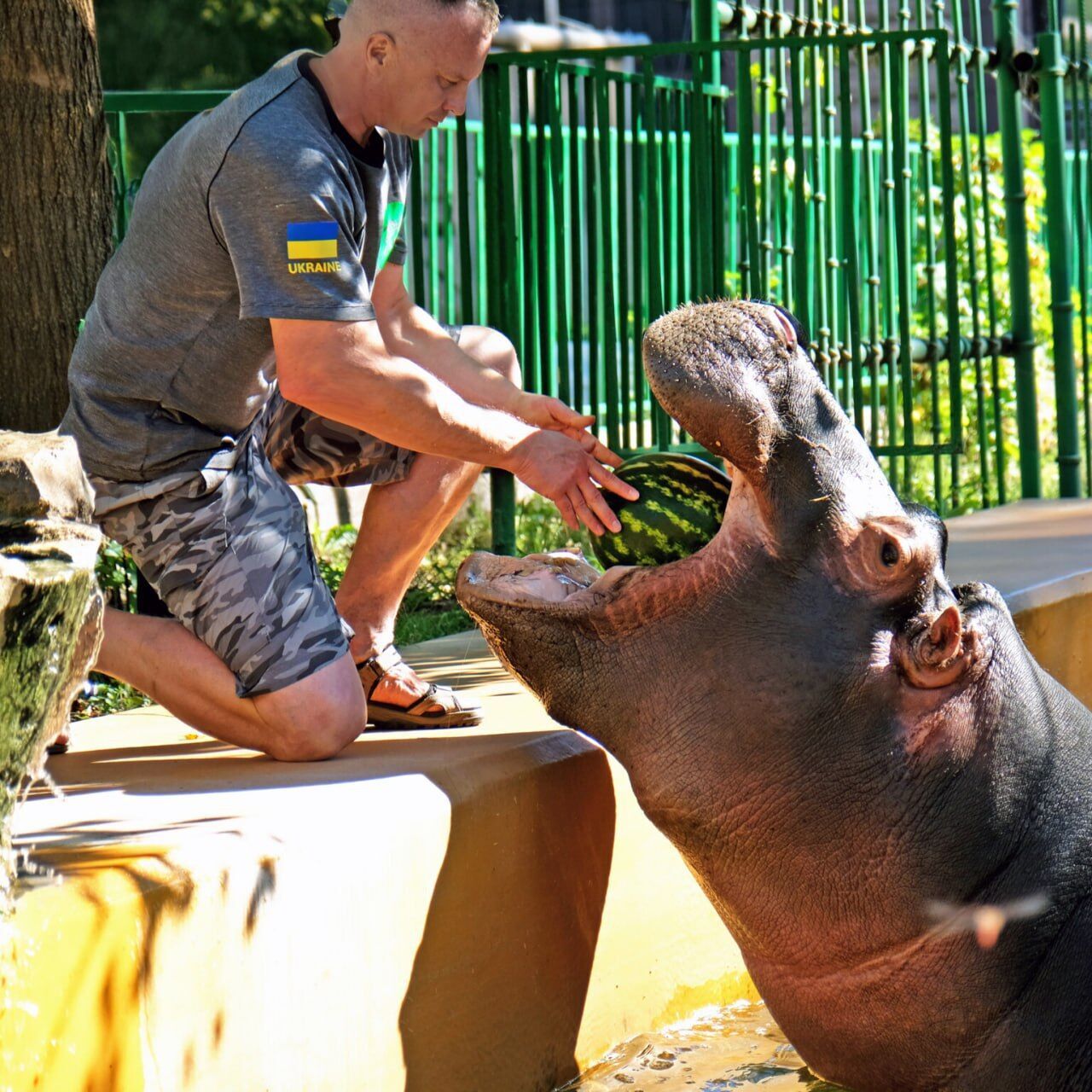 В Киевском зоопарке завершаются традиционные арбузные уикенды: кого будут угощать вкусной ягодой. Фото
