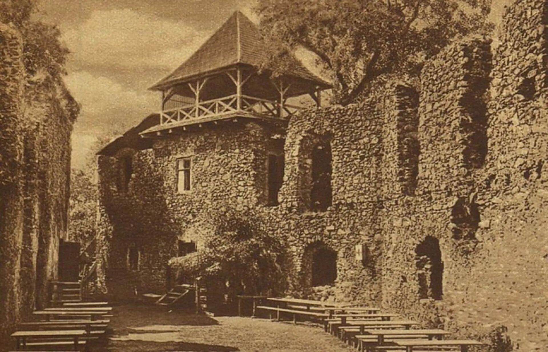 Яким було Закарпаття на початку XX століття: фото Невицького замку