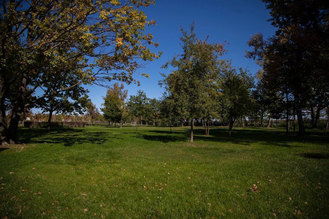 Оболонський острів у Києві отримав престижну міжнародну екологічну відзнаку, – Кличко