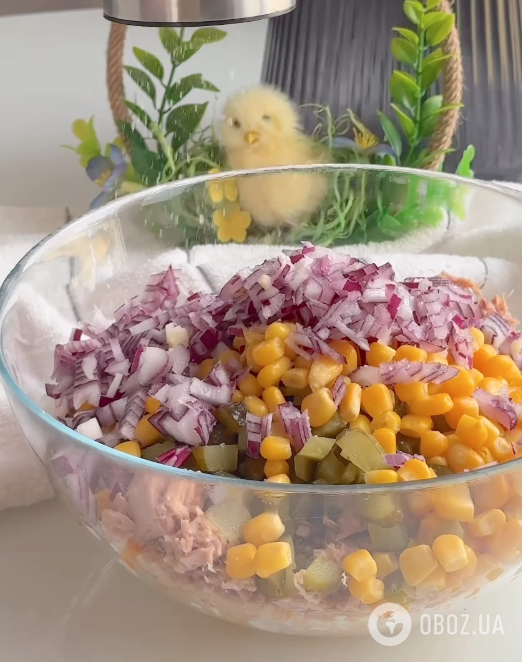 Полезная белковая намазка-салат из тунца, с луком и яйцами: рецепт закуски за 5 минут