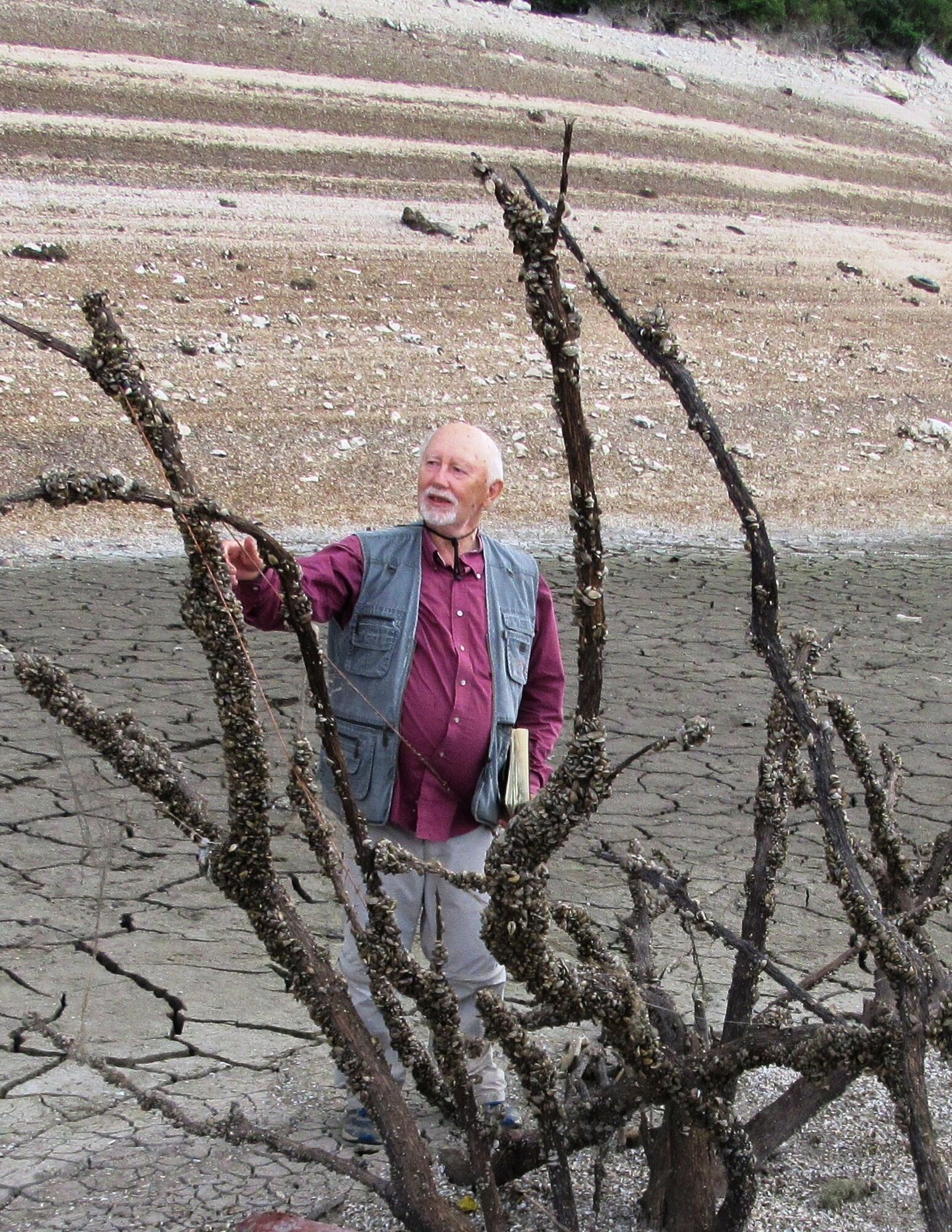 Чи зможе природа самостійно оновитися? Вчений розповів, що зараз відбувається на місці Каховського водосховища
