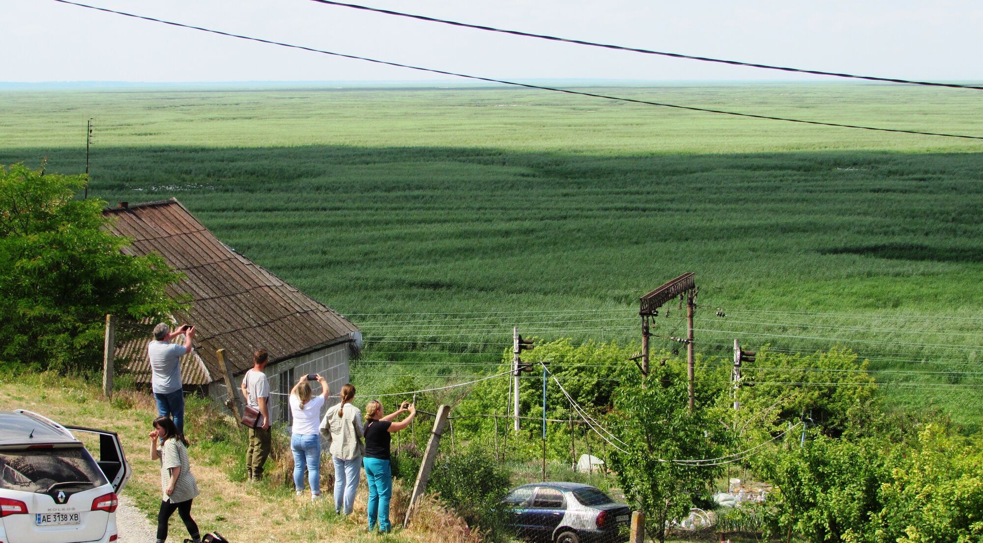 Чи зможе природа самостійно оновитися? Вчений розповів, що зараз відбувається на місці Каховського водосховища
