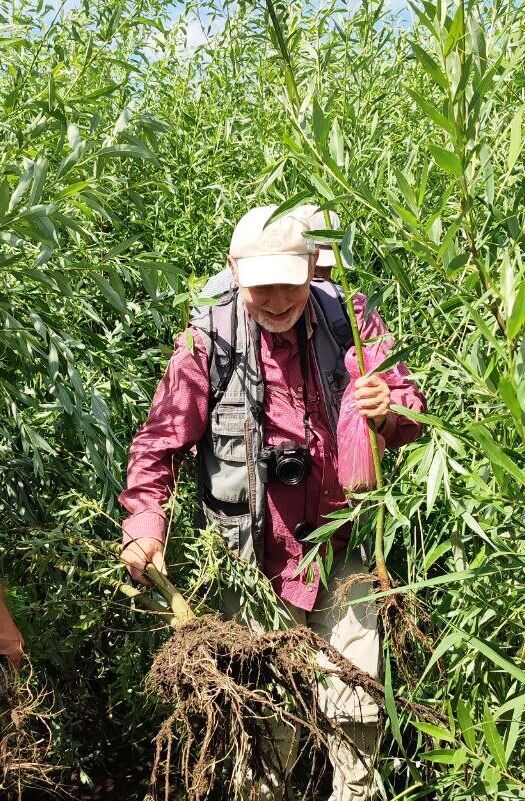 Чи зможе природа самостійно оновитися? Вчений розповів, що зараз відбувається на місці Каховського водосховища