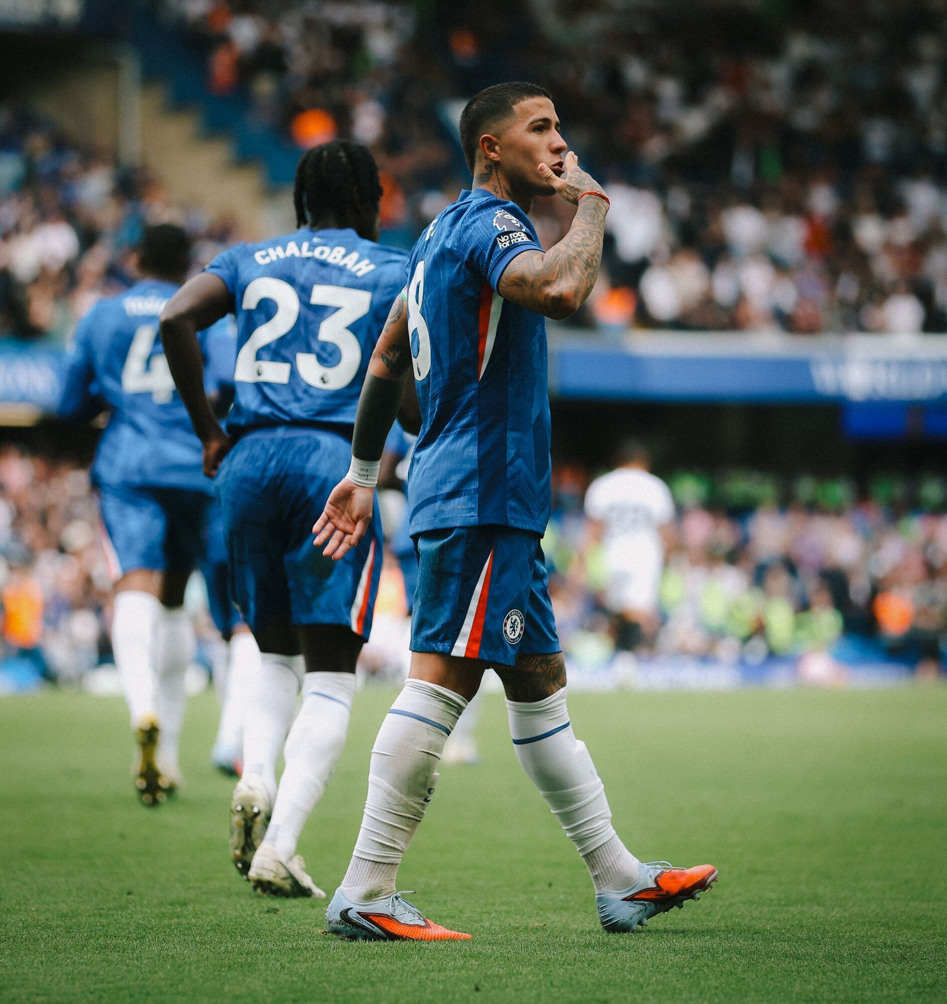 Где смотреть "Челси" – "Бенфика": расписание трансляций матча Лиги чемпионов