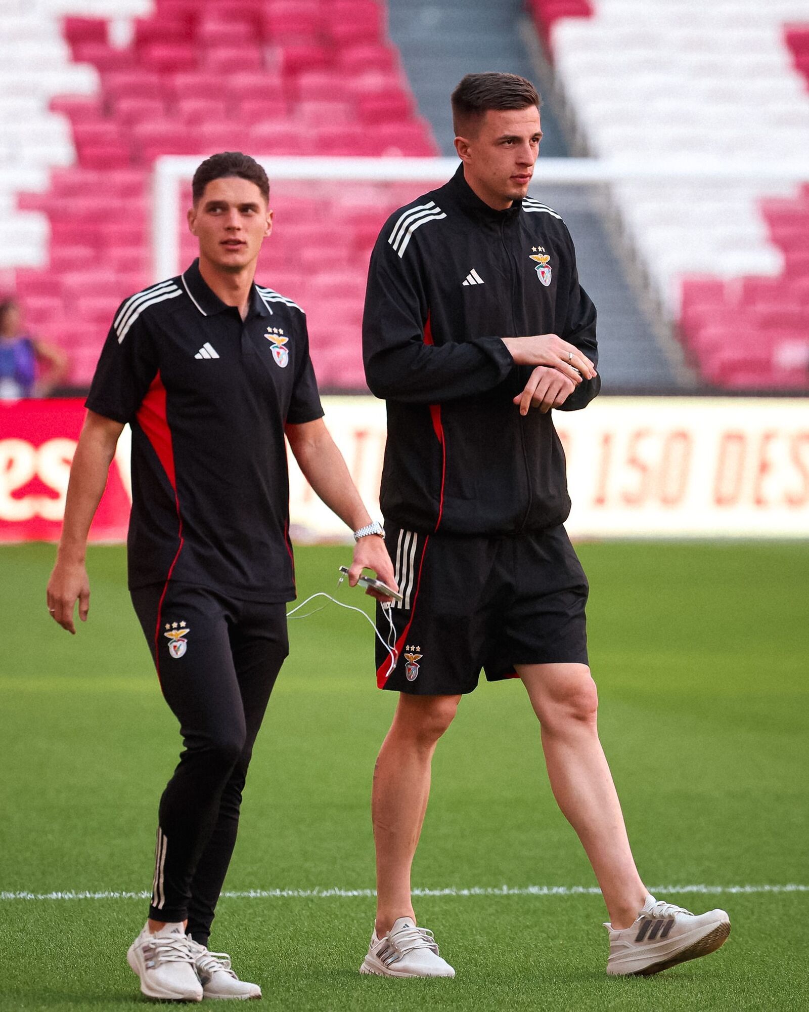 Где смотреть "Челси" – "Бенфика": расписание трансляций матча Лиги чемпионов