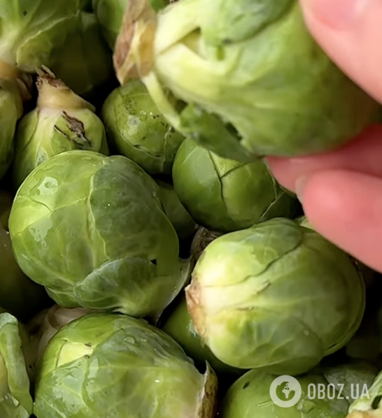 Почему нужно добавить в рацион брюссельскую капусту и как ее готовить: делимся рецептом