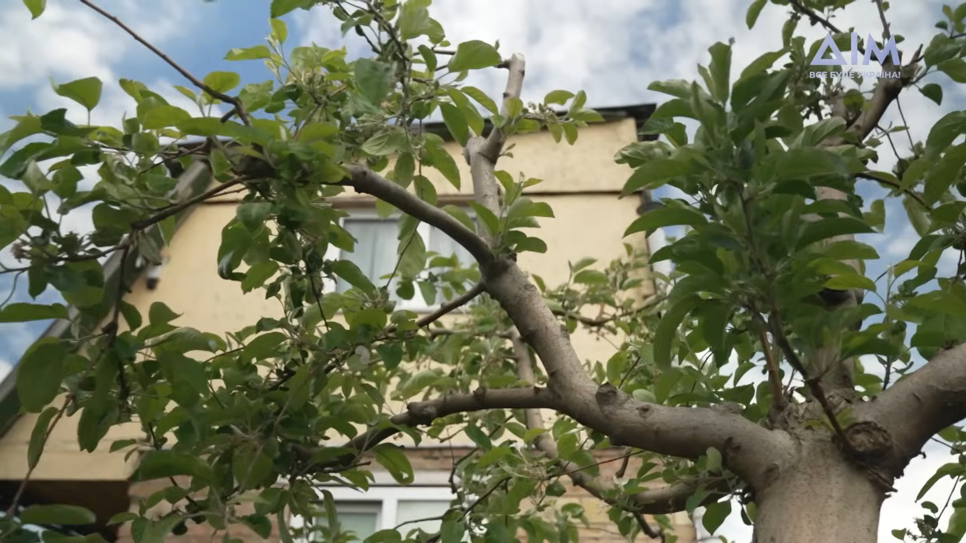 "Ось куди всі гонорари йдуть": Народна артистка України Ніна Набока показала свою затишну дачу. Фото