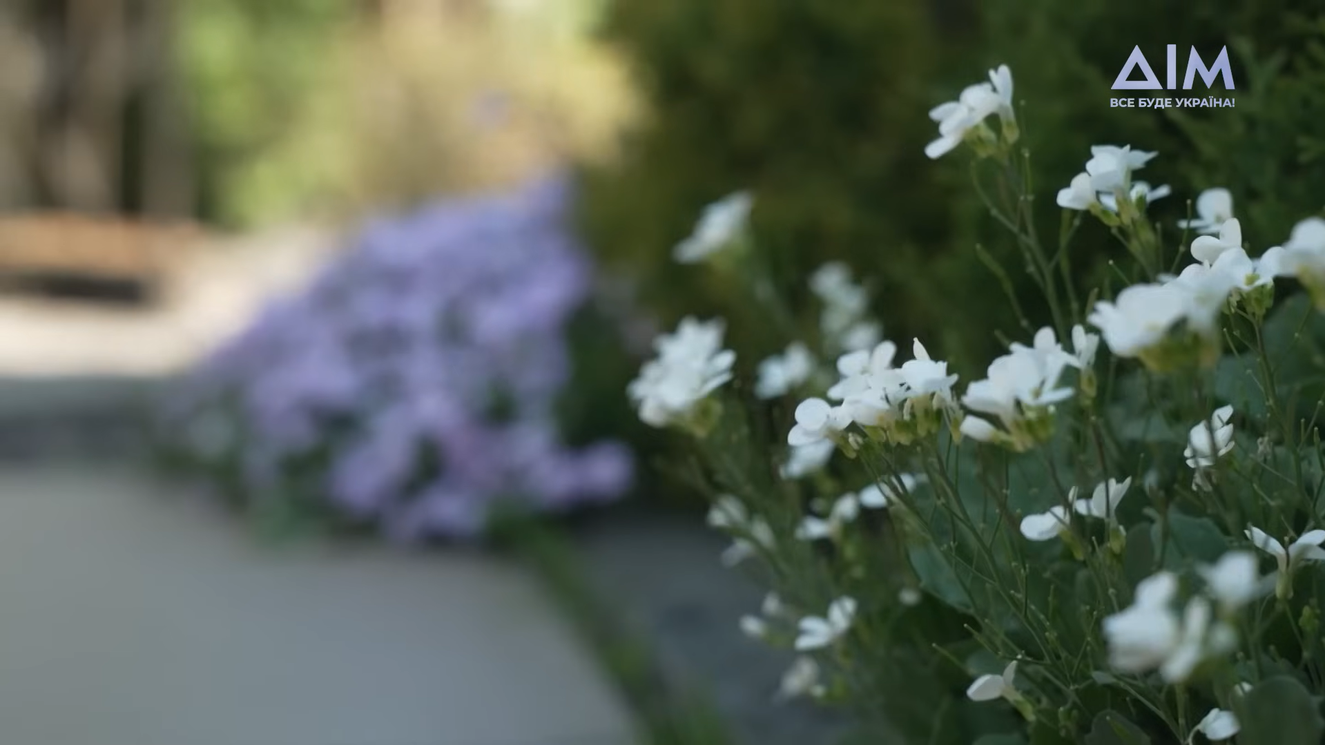 "Ось куди всі гонорари йдуть": Народна артистка України Ніна Набока показала свою затишну дачу. Фото