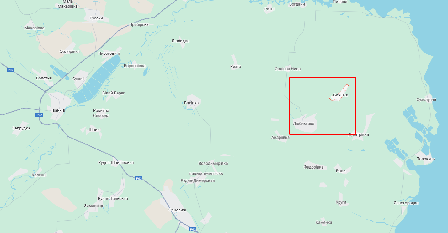 На Киевщине мужчина в лесу вместо грибов нашел мины. Подробности и фото