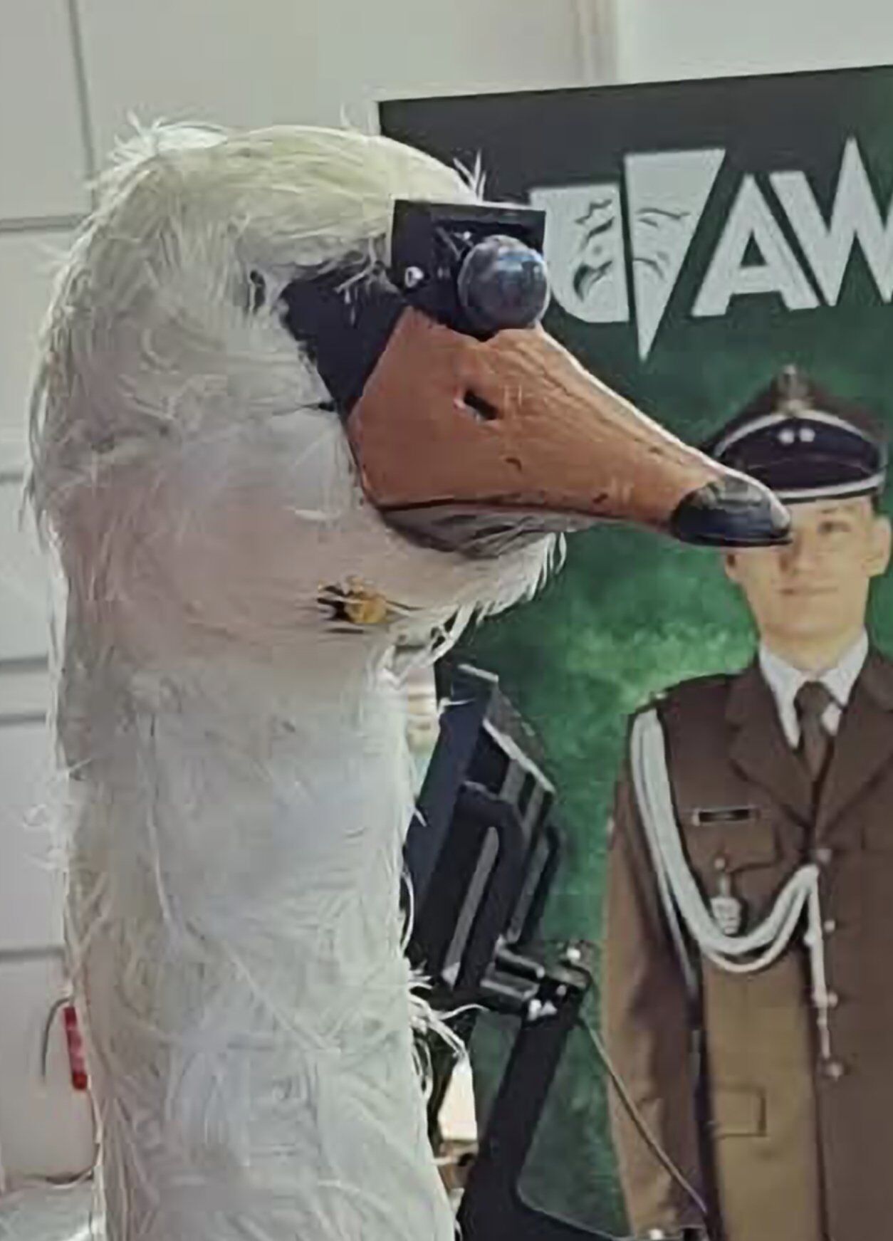 Оружие НАТО: в Польше представили дрон Kaczka, замаскированный под лебедя. Фото