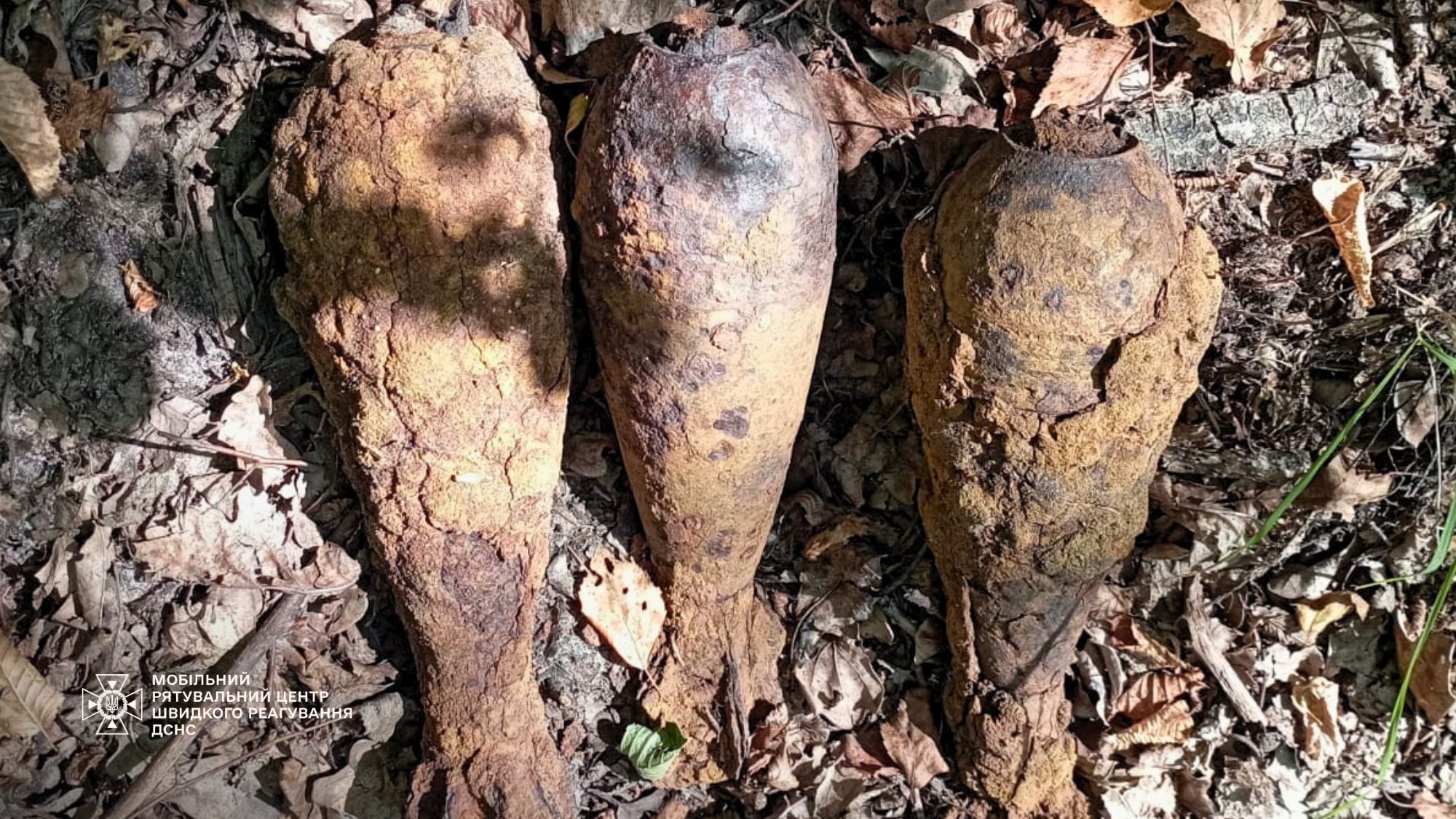 На Киевщине мужчина в лесу вместо грибов нашел мины. Подробности и фото