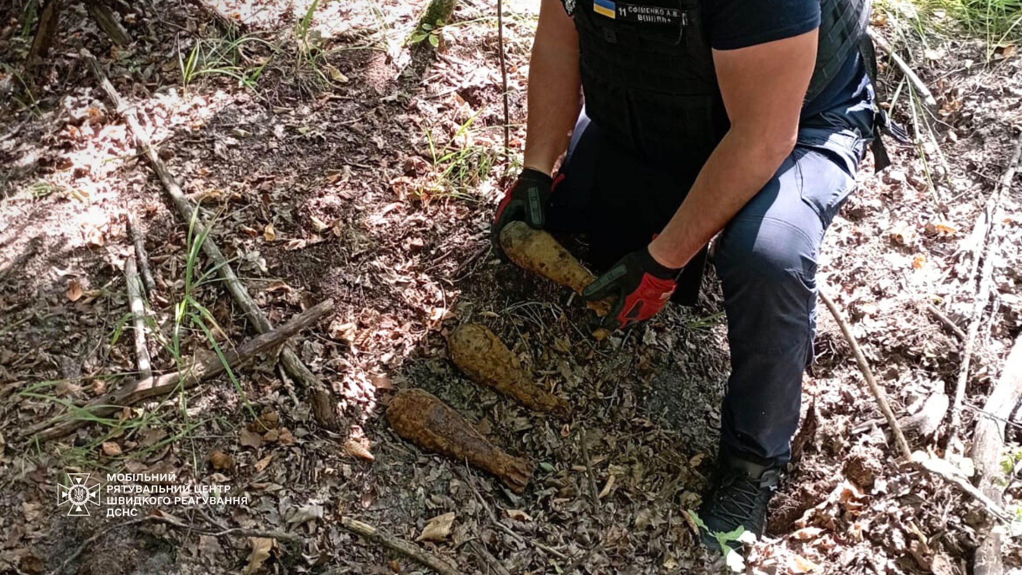 На Киевщине мужчина в лесу вместо грибов нашел мины. Подробности и фото