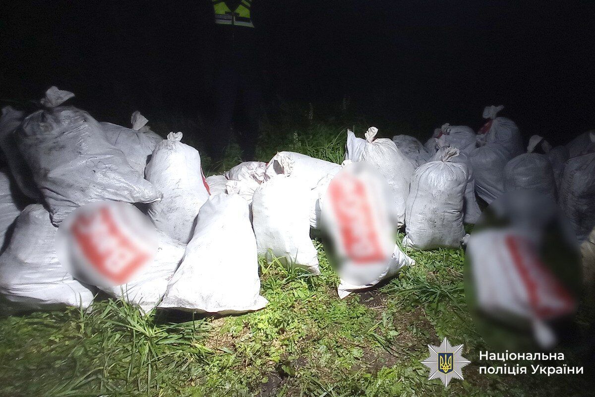 Вирощували понад 5,7 тис. кущів коноплі: у заповідній зоні на Вінниччині викрили підпільне виробництво наркотиків. Фото і відео