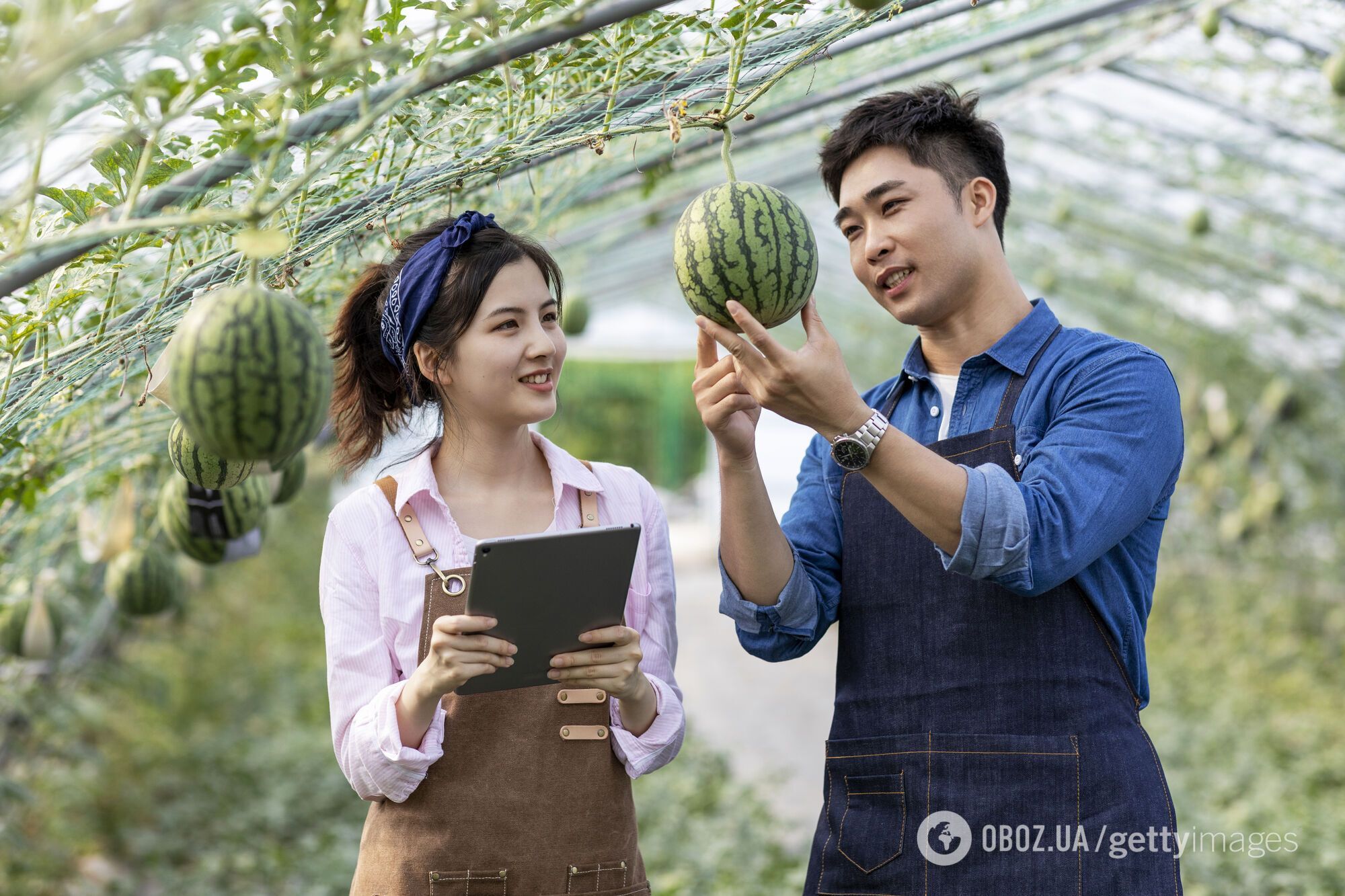 Китай завалил Россию своей картошкой и автомобилями: как РФ становится сырьевым придатком "большого брата"