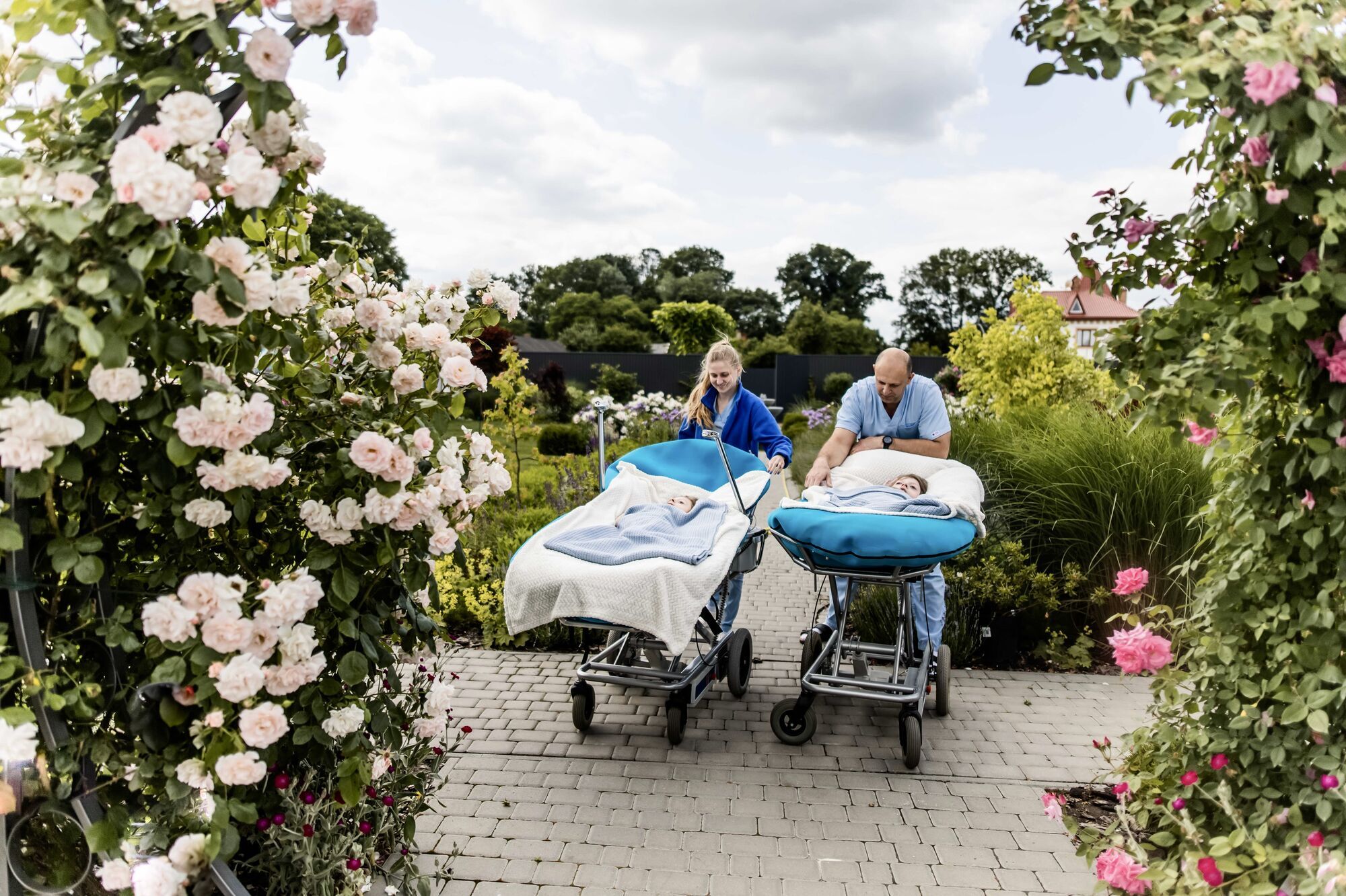 Почему Украине нужен День Бабочек