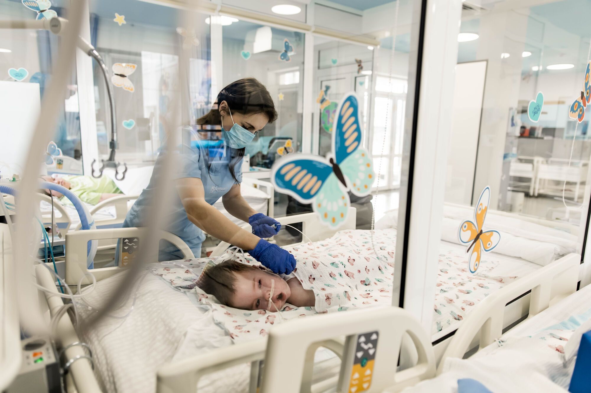 Почему Украине нужен День Бабочек