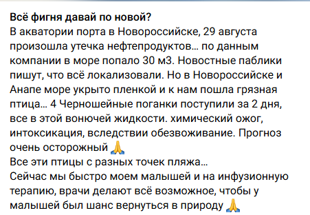У Криму зірвано "оксамитовий сезон": російські туристи пакують валізи і виїжджають через нафтову пляму