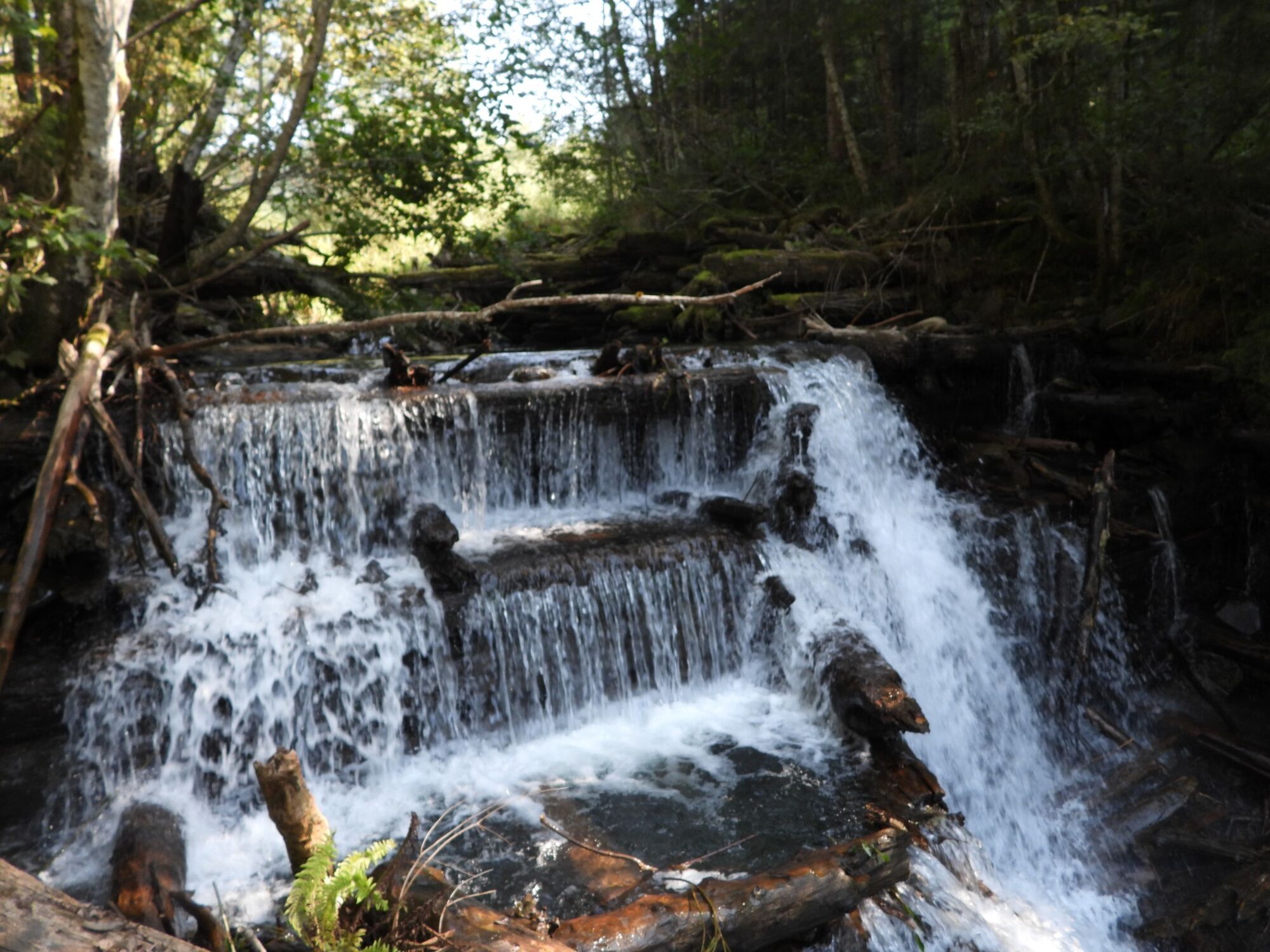 Побудували 200 років тому: у мережі показали архівні фото Говерлянської гаті