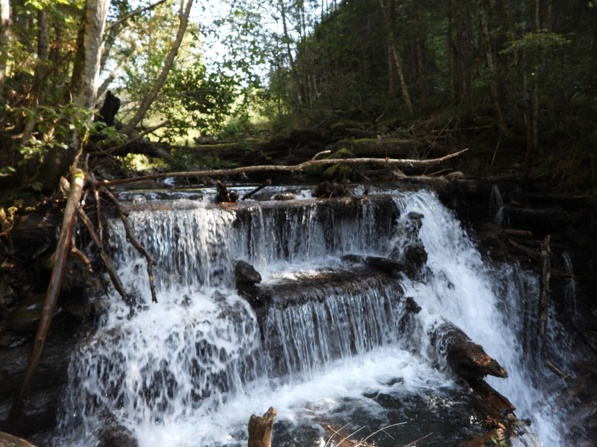 Побудували 200 років тому: у мережі показали архівні фото Говерлянської гаті