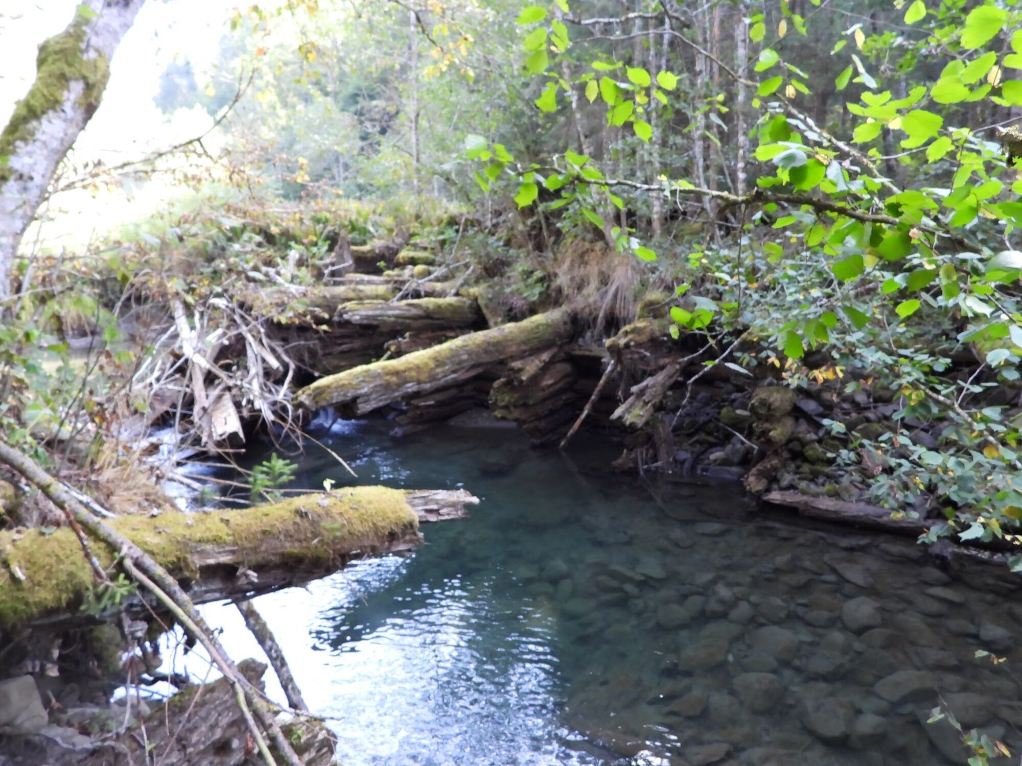 Побудували 200 років тому: у мережі показали архівні фото Говерлянської гаті