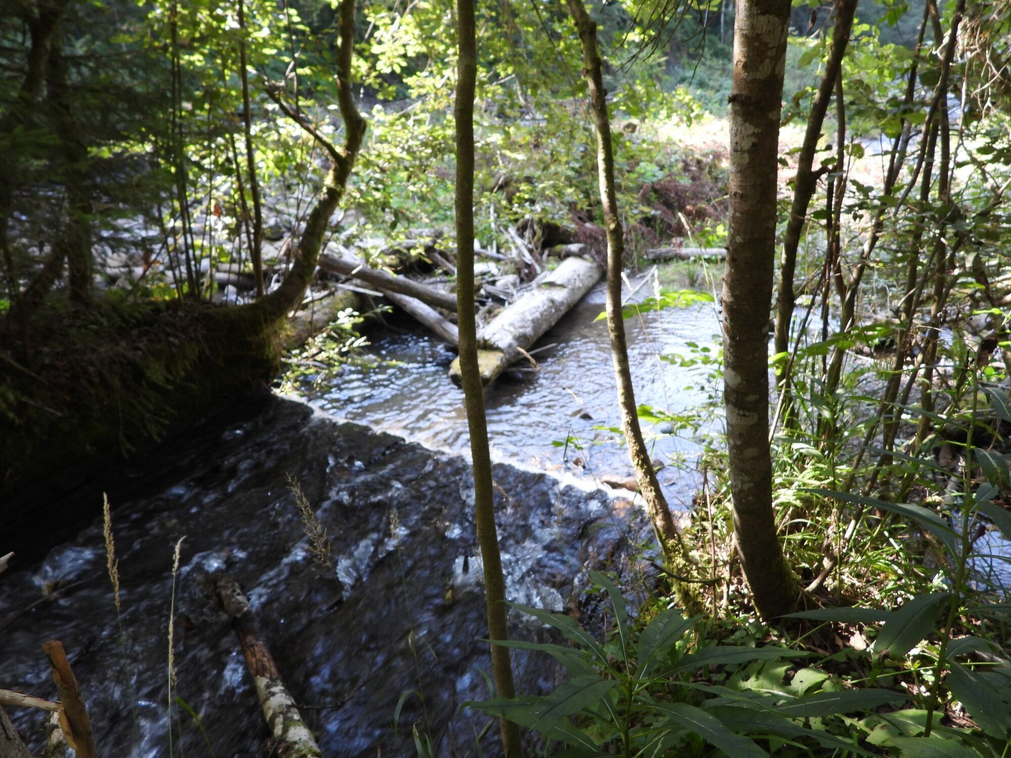 Побудували 200 років тому: у мережі показали архівні фото Говерлянської гаті