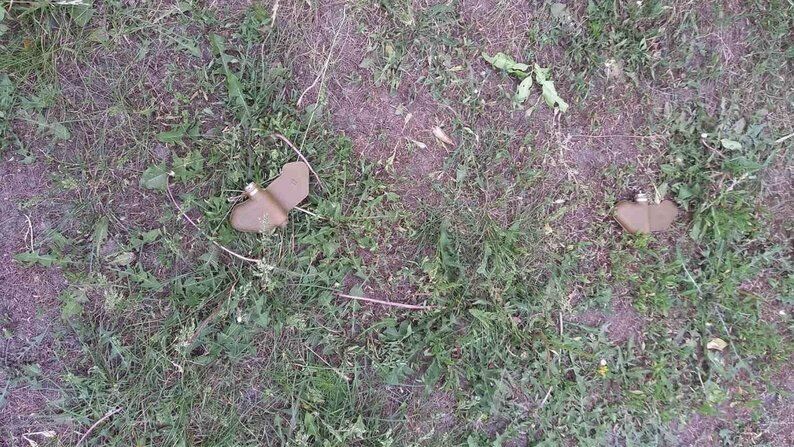 Росія скинула на житлові квартали Херсона міни-"пелюстки": який вони вигляд мають і чому дуже небезпечні. Фото