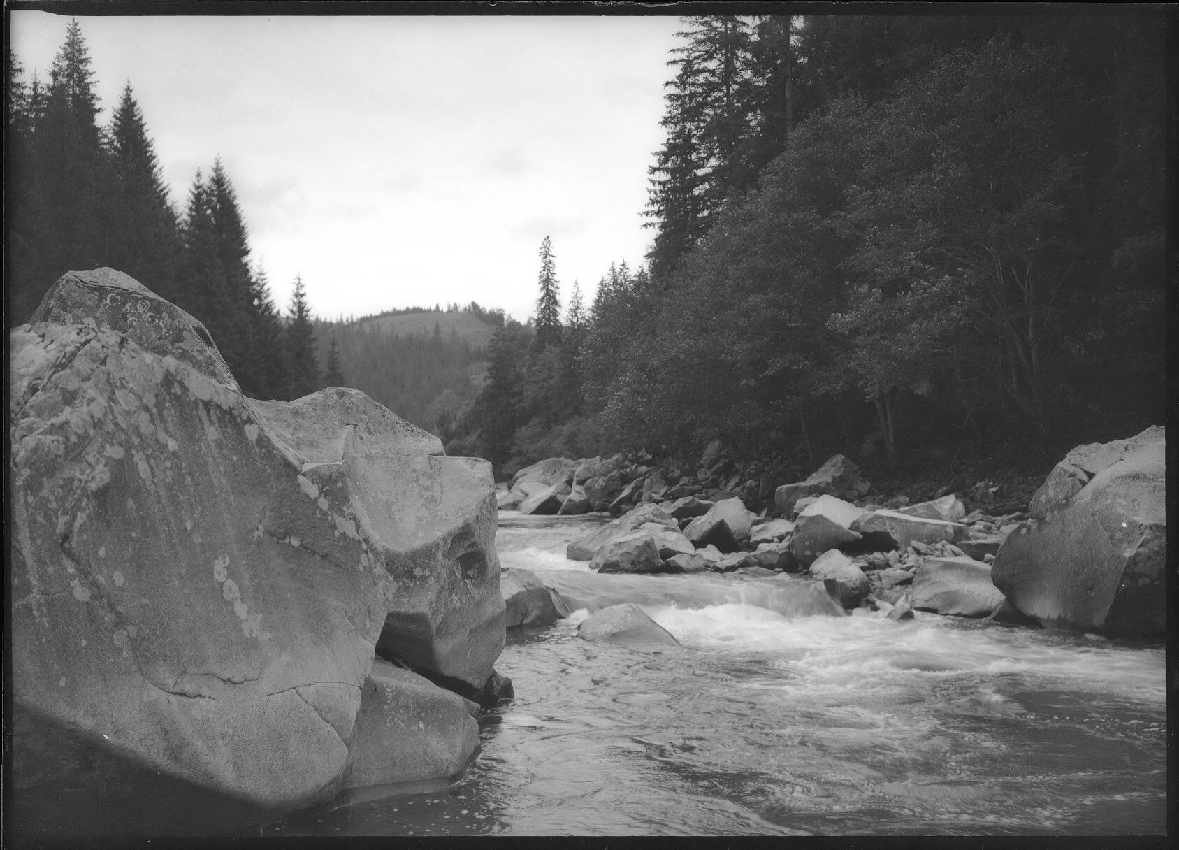 Краса заворожує: у мережі показали старі фото річки Прут