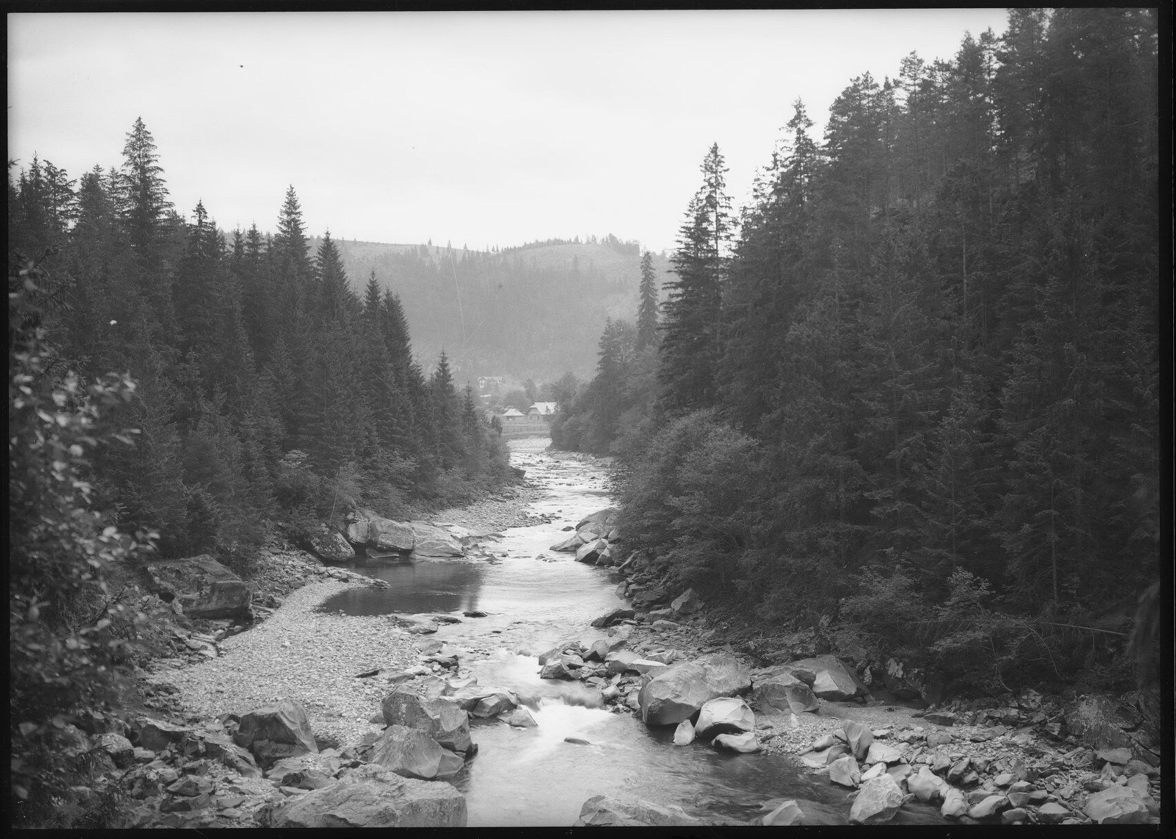 Краса заворожує: у мережі показали старі фото річки Прут