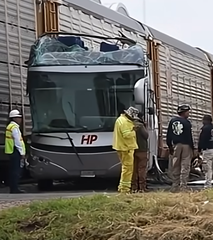 У Мексиці вантажний поїзд зіткнувся з пасажирським автобусом: десять людей загинули, понад 60 поранені. Фото і відео