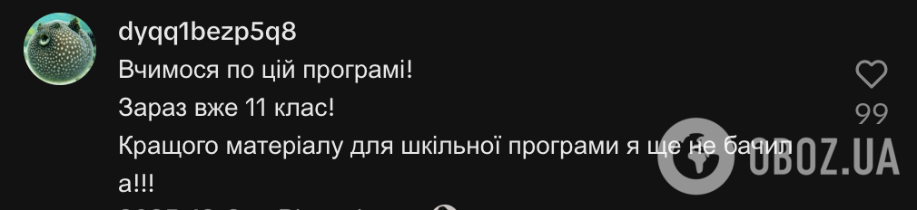"Ви не повинні вирішувати – це завдання для дитини". Мама школярки поскаржилась на програму "Інтелект" для 2 класу: її розкритикували