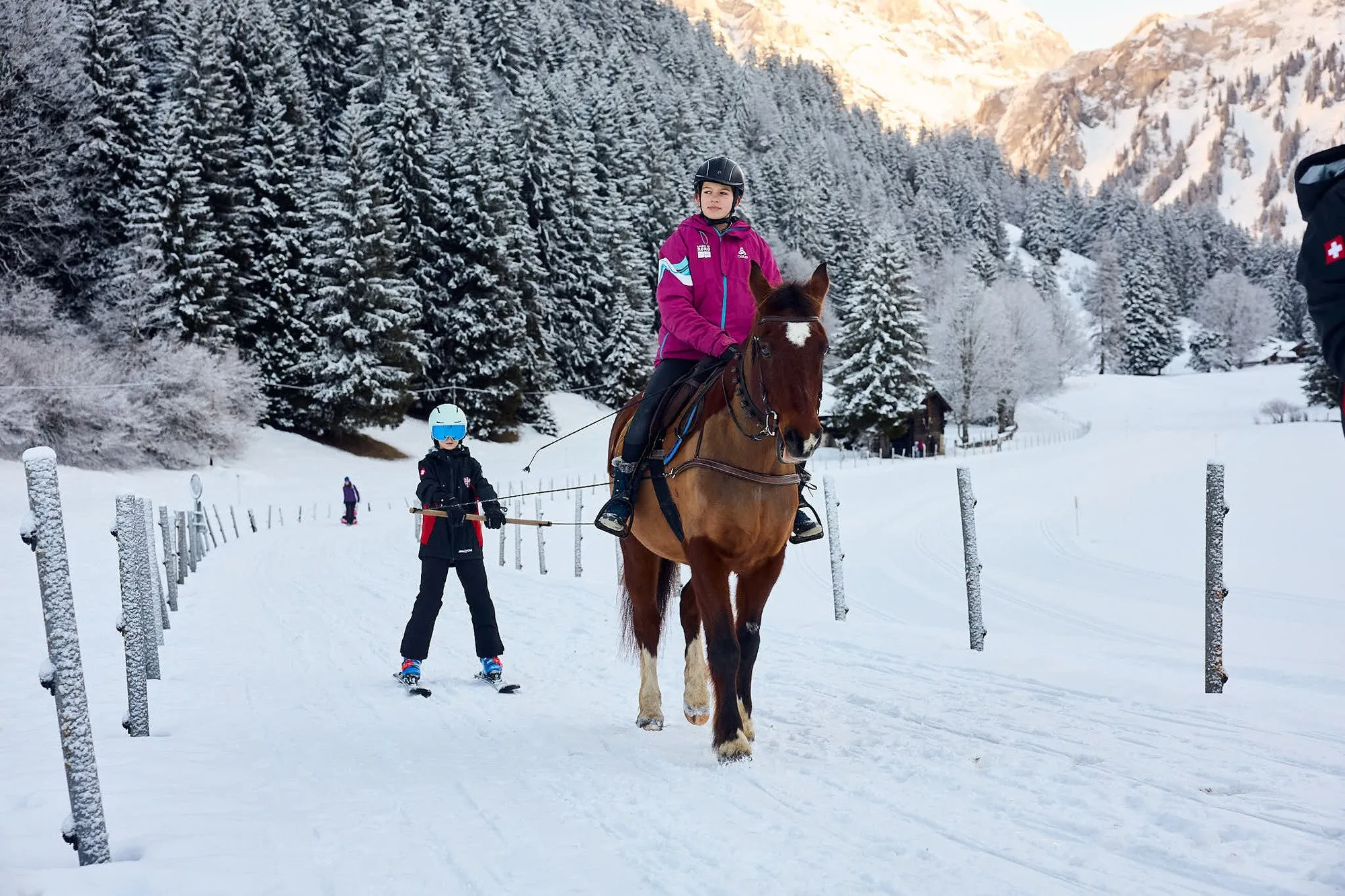 Шале в Швейцарських Альпах, жорсткі правила та учні на гелікоптері: 10 фактів про найдорожчу приватну школу світу