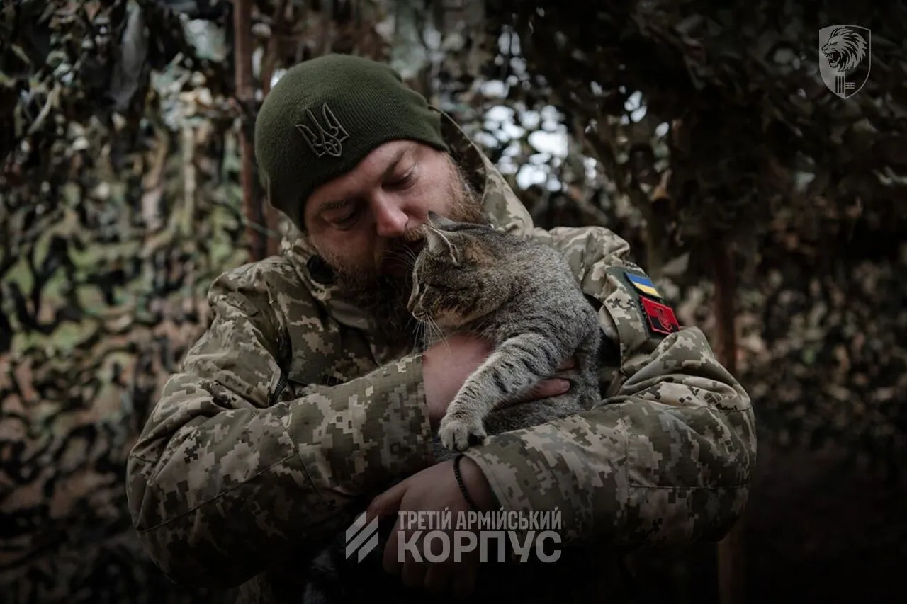 Воины 63 ОМБр взяли в плен четырех оккупантов на Лиманском направлении. Видео