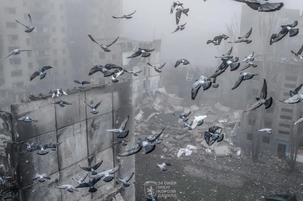 Дома как решето: как выглядит разрушенная оккупантами Константиновка сейчас. Фото